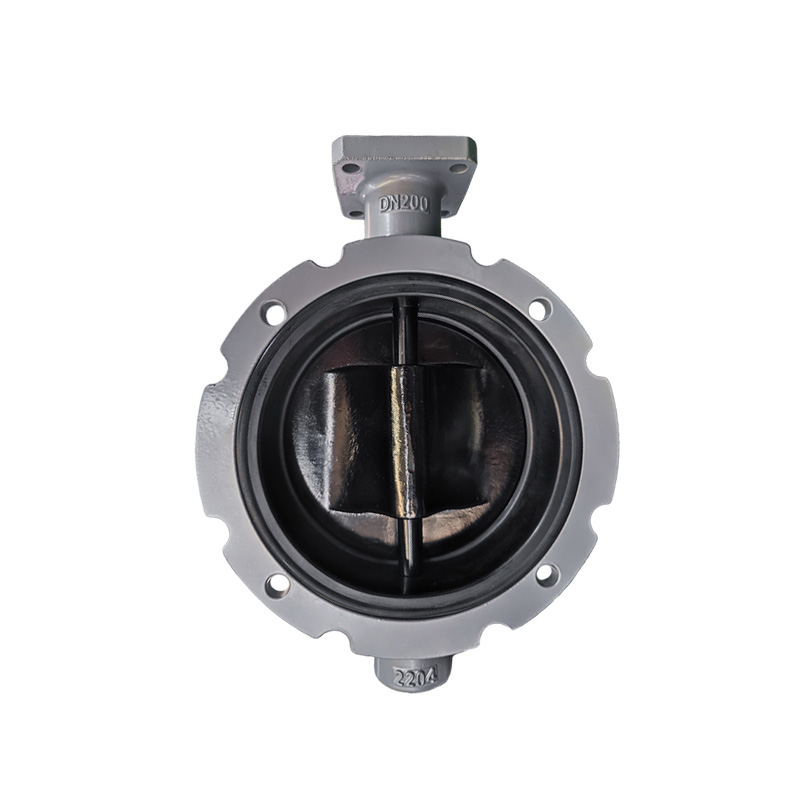 Powder Flange Butterfly Valve