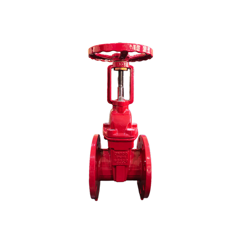 Rising Stem Gate Valve